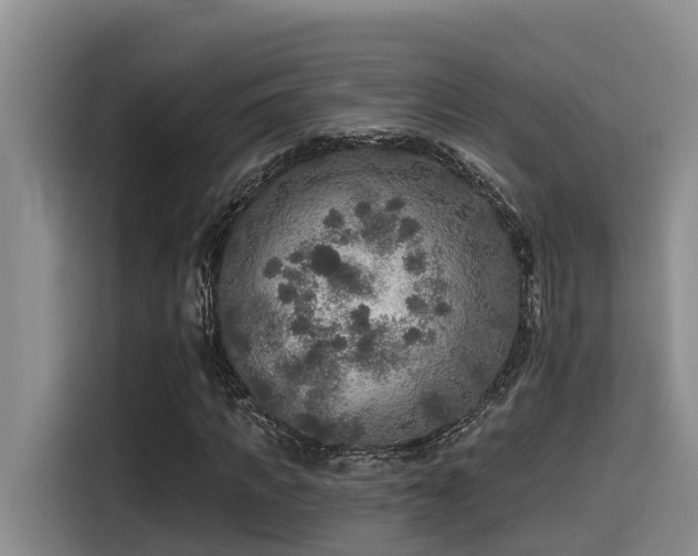 X0000115550917200911061530