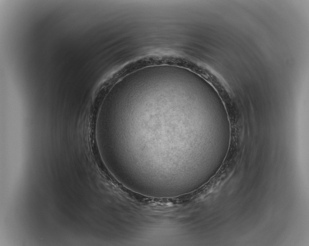 X0000115550919200911061530