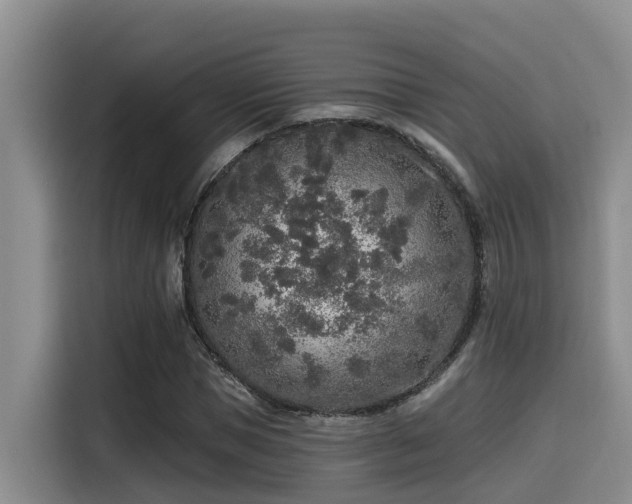 X0000115550921200911061530