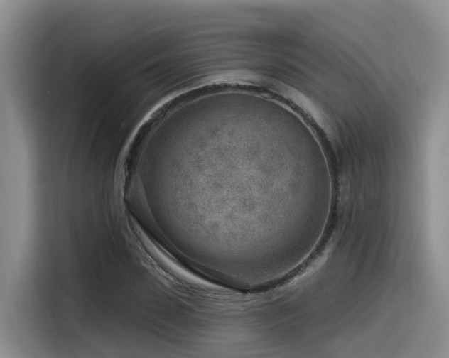 X0000115550923200911061530