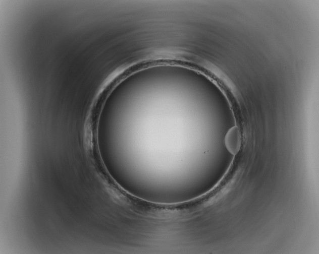 X0000115550925200911061530