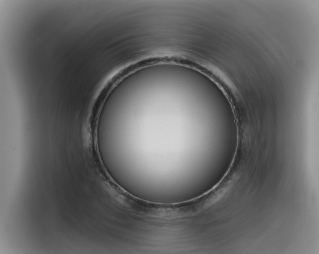 X0000115550927200911061530