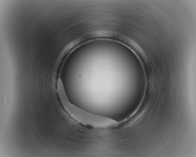 X0000115550930200911061530