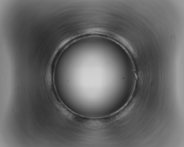 X0000115550931200911061530