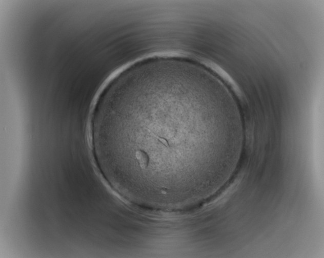 X0000115550935200911061530