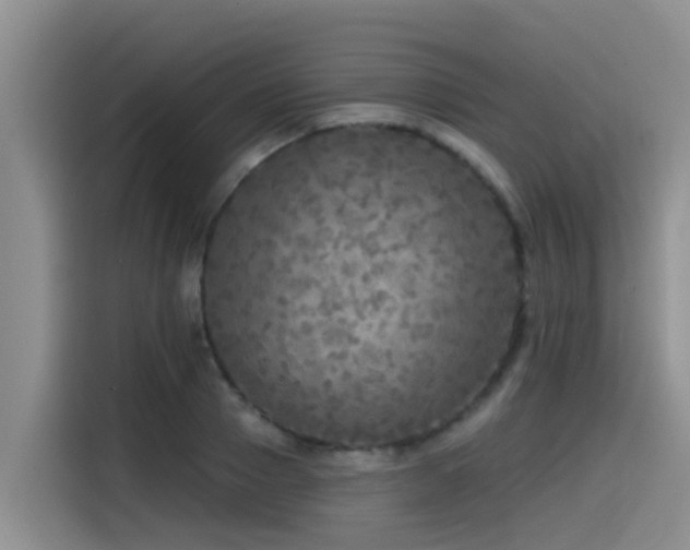 X0000115550937200911061530