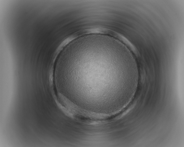 X0000115550938200911061530