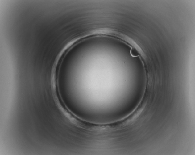 X0000115550939200911061530