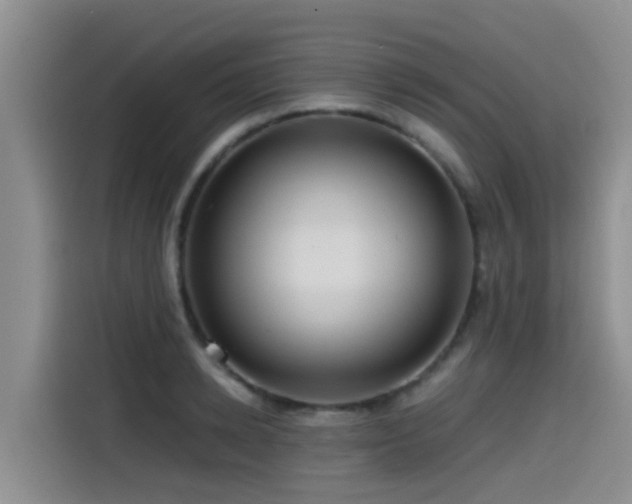 X0000115550942200911061530