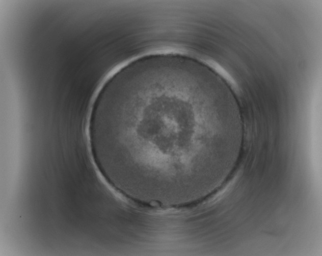 X0000115550943200911061530