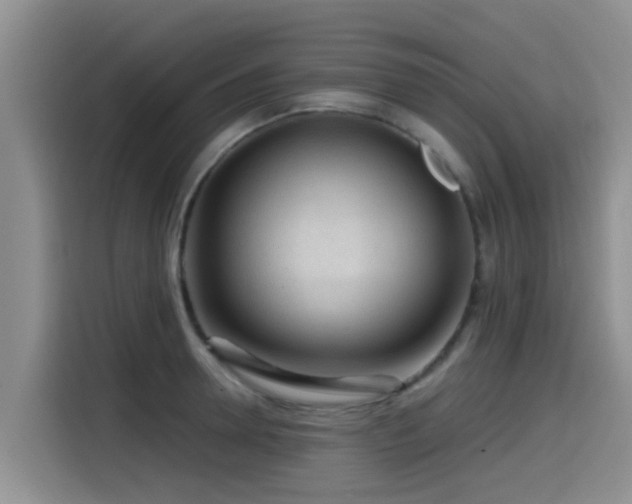 X0000115550946200911061530