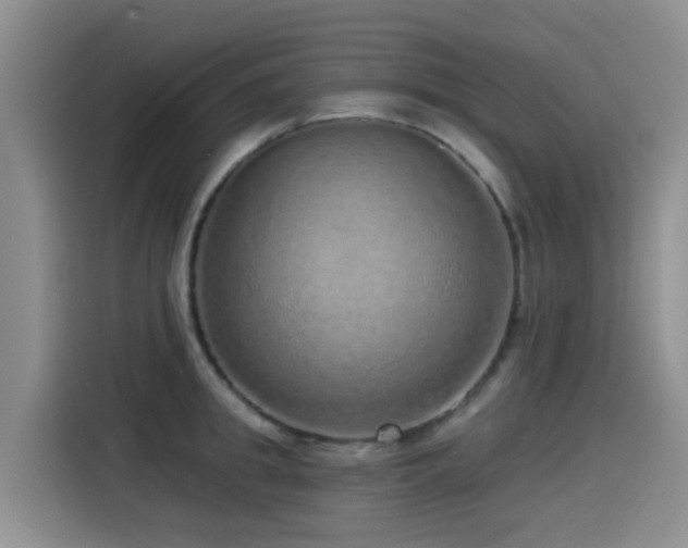 X0000115550949200911061530