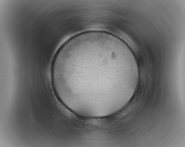 X0000115550950200911061530