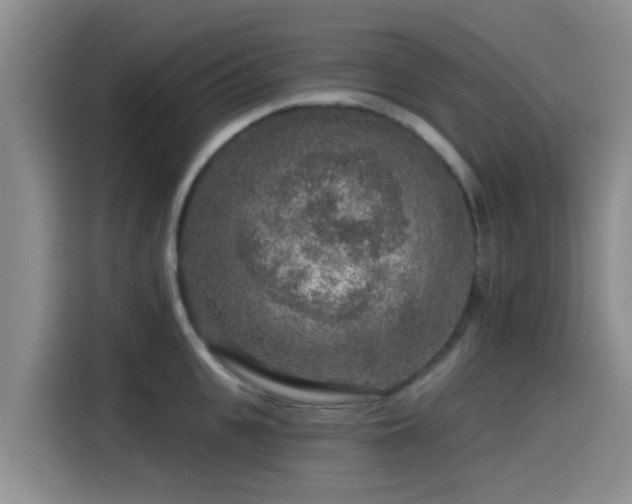 X0000115550951200911061530
