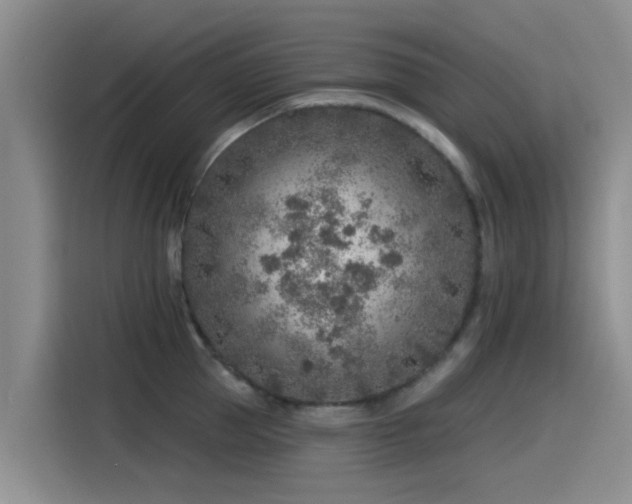 X0000115550953200911061530