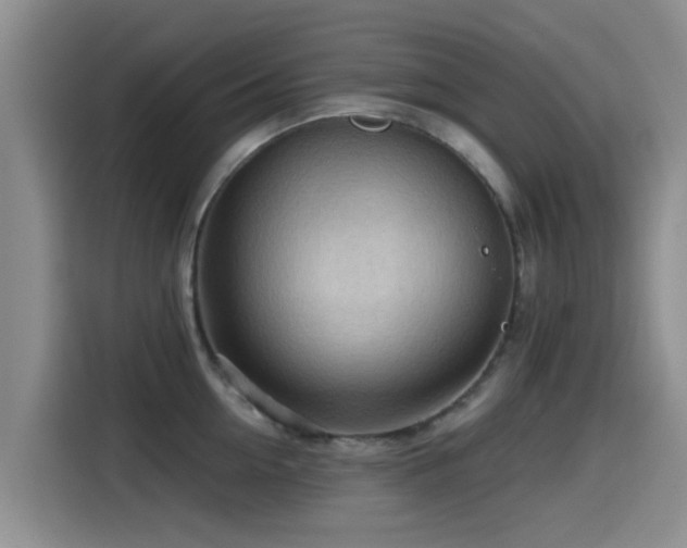 X0000115550954200911061530