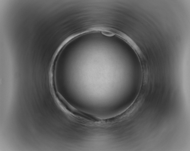 X0000115550955200911061530
