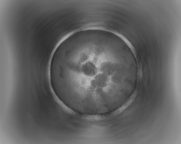 X0000115550957200911061530