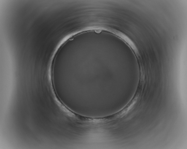 X0000115550958200911061530