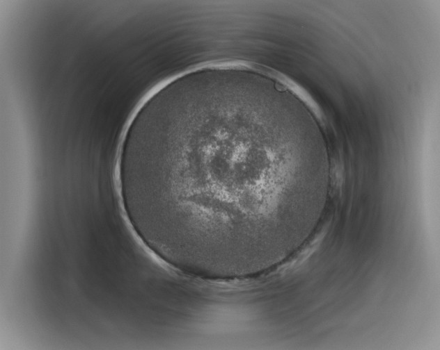 X0000115550959200911061530