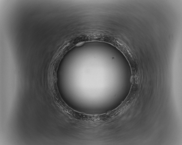 X0000115550961200911061530
