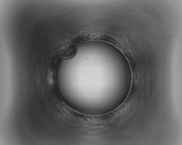 X0000115550962200911061530