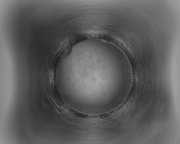 X0000115550964200911061530