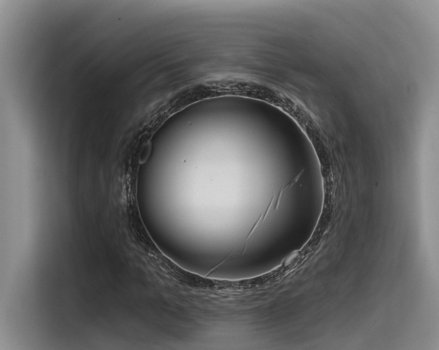 X0000115550965200911061530