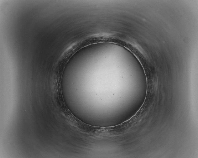 X0000115550967200911061529