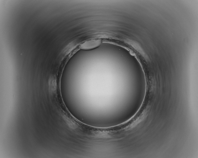 X0000115550969200911061529