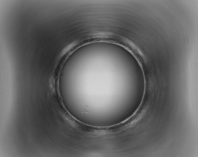 X0000115550970200911061529