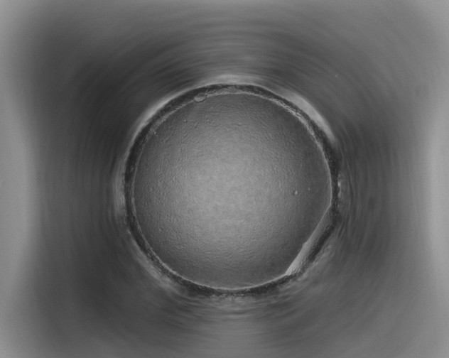 X0000115550972200911061529