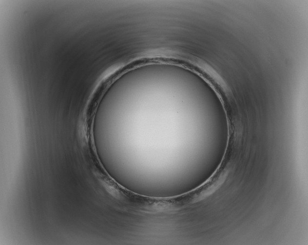 X0000115550974200911061529