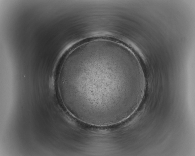 X0000115550975200911061529