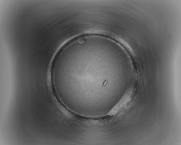 X0000115550976200911061529