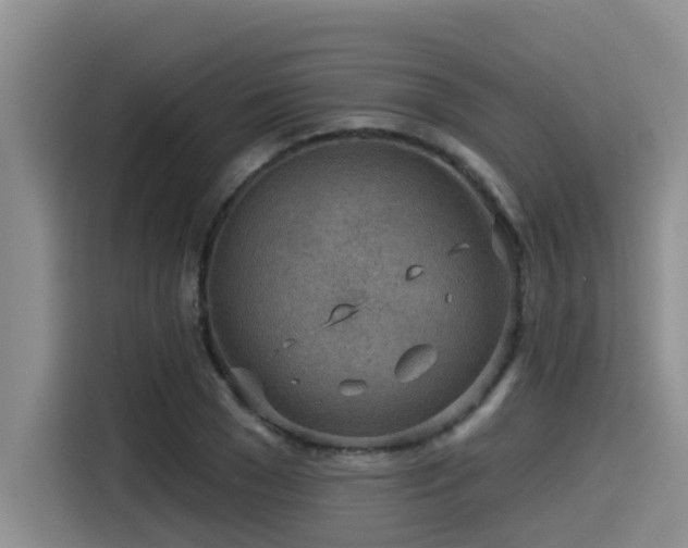 X0000115550977200911061529