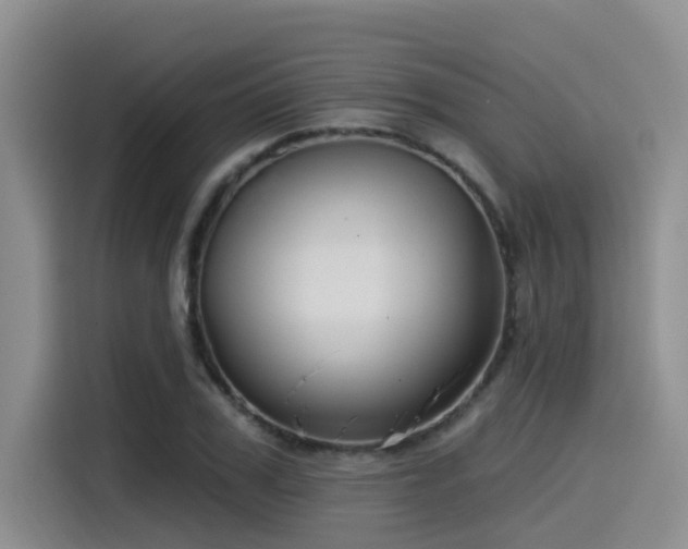 X0000115550979200911061529