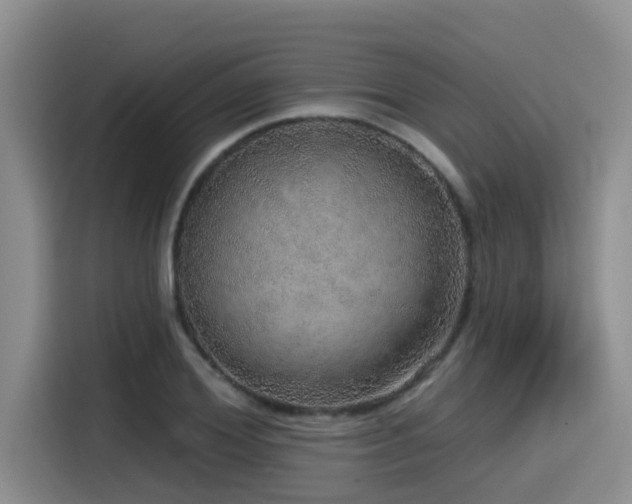 X0000115550980200911061529