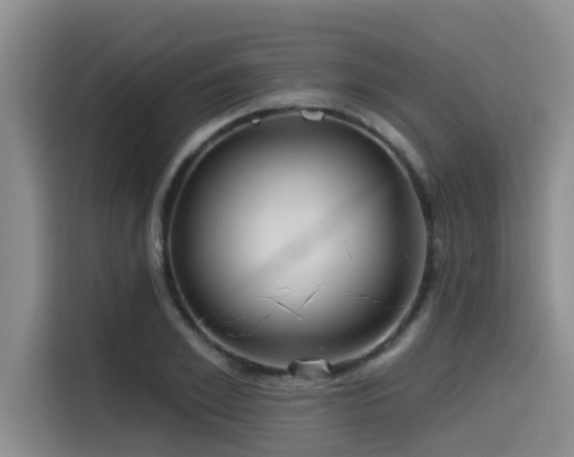 X0000115550981200911061529