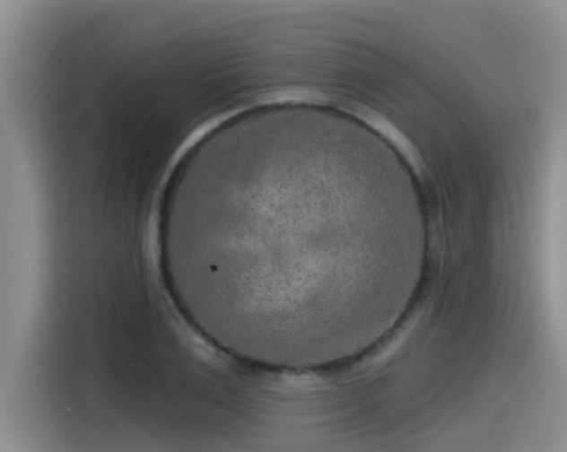 X0000115550983200911061529