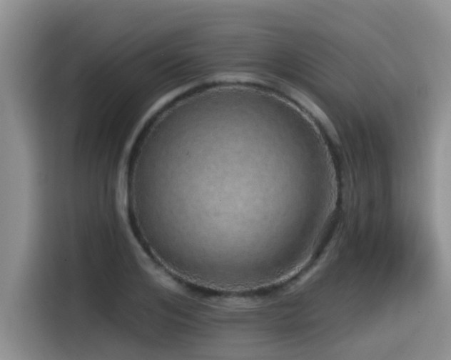X0000115550984200911061529