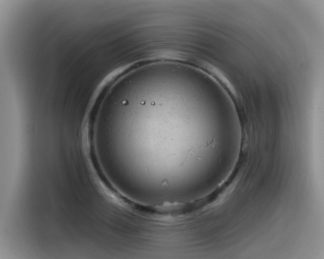 X0000115550987200911061529