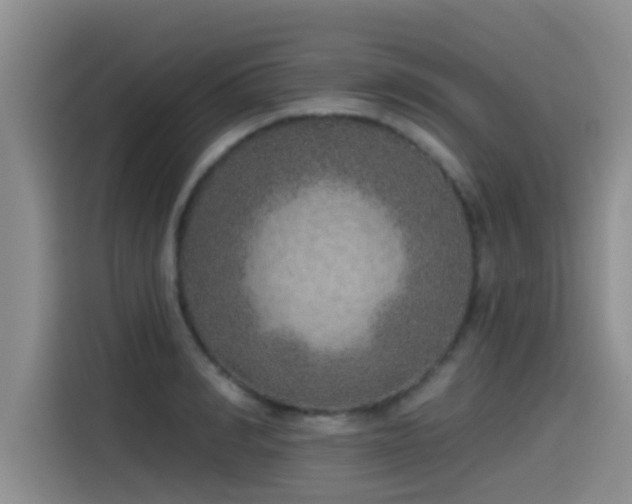 X0000115550990200911061529