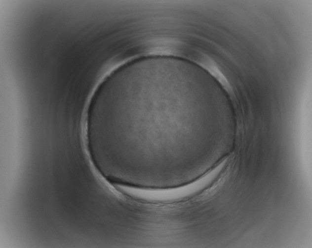 X0000115550992200911061529