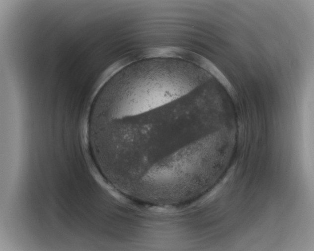 X0000115550994200911061529