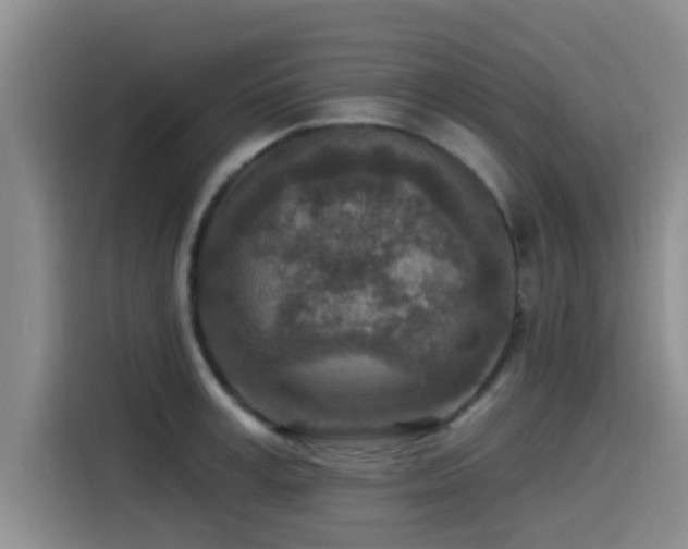 X0000115550995200911061529