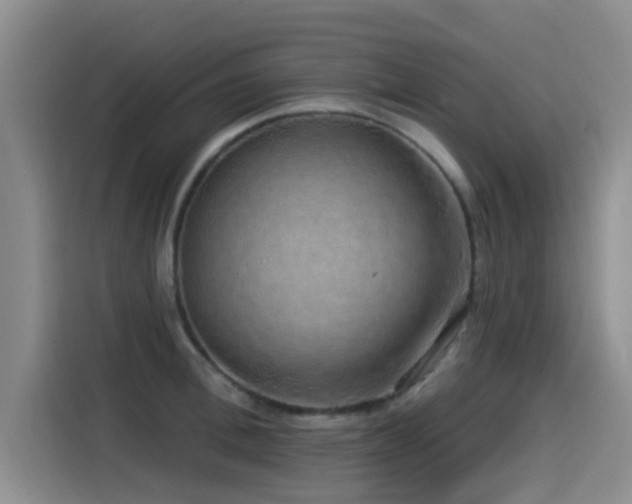 X0000115550996200911061529