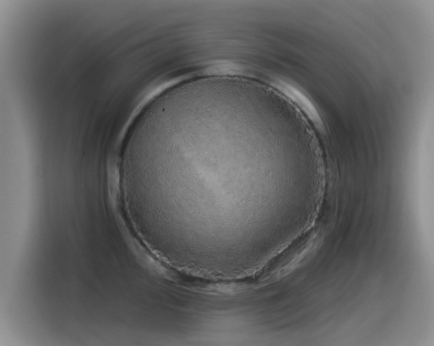X0000115551000200911061529