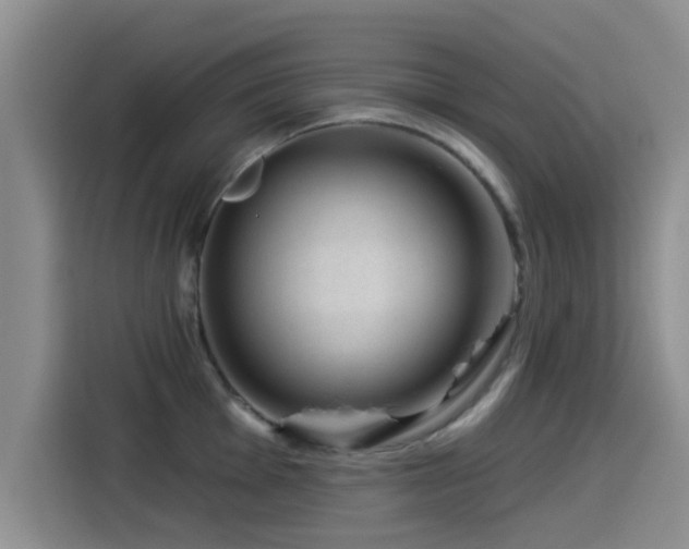 X0000115551001200911061529