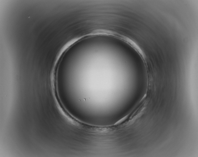 X0000115551003200911061529